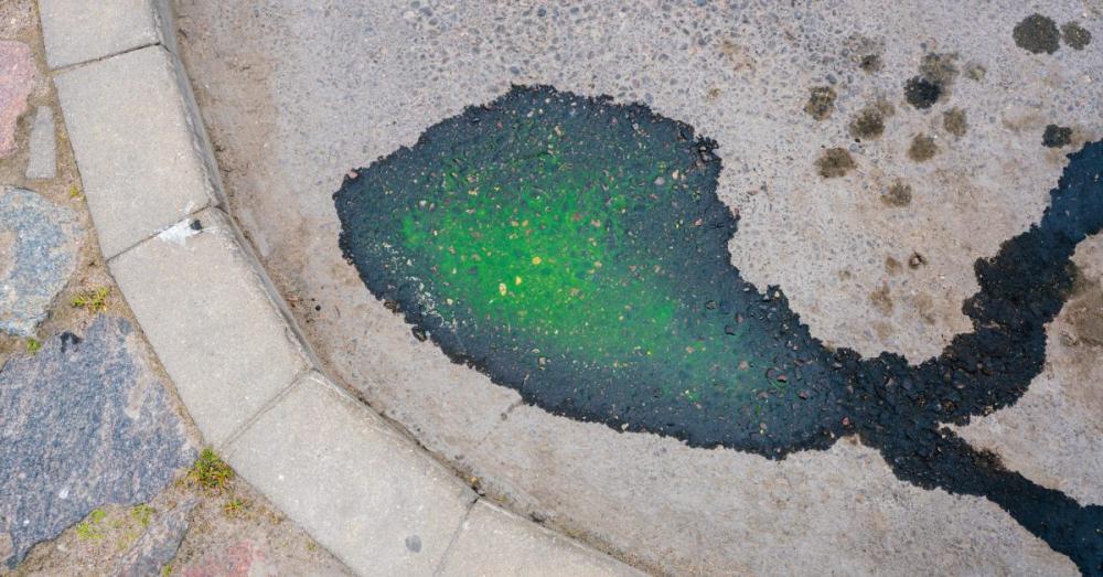 A green pool of brake fluid that's dripped onto the concrete. It's right next to the curb and is starting to flow off camera.